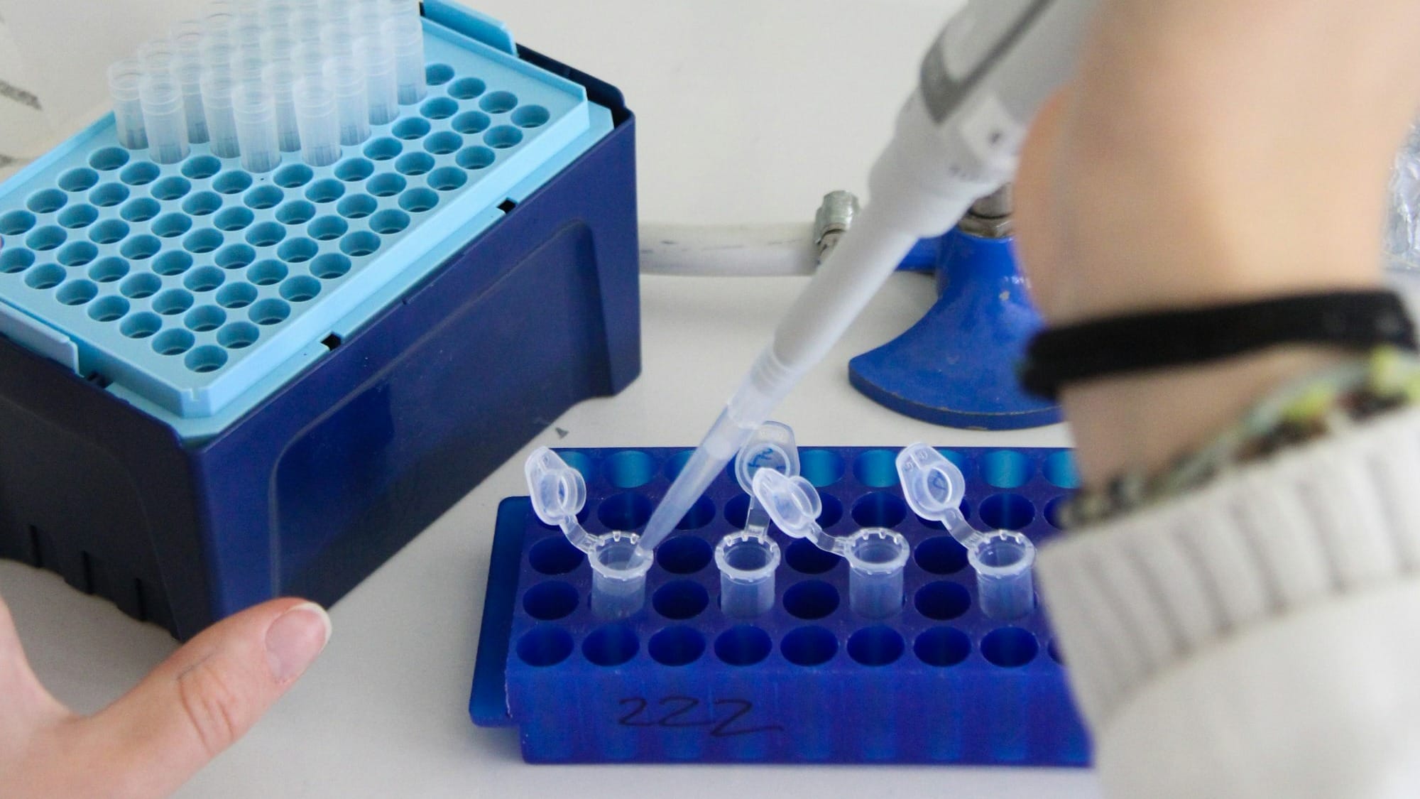 NVIDIA expands BioNeMo platform as pharma groups commit up to $1bn to AI-driven drug discovery