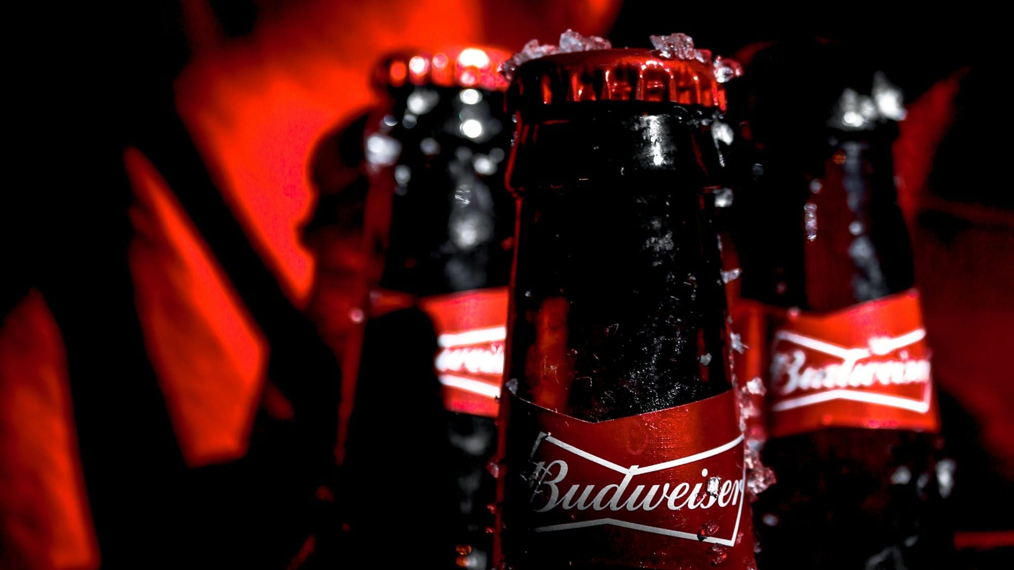 Budweiser brewer AB InBev sees its stock rise in Europe, lifted by positive financials