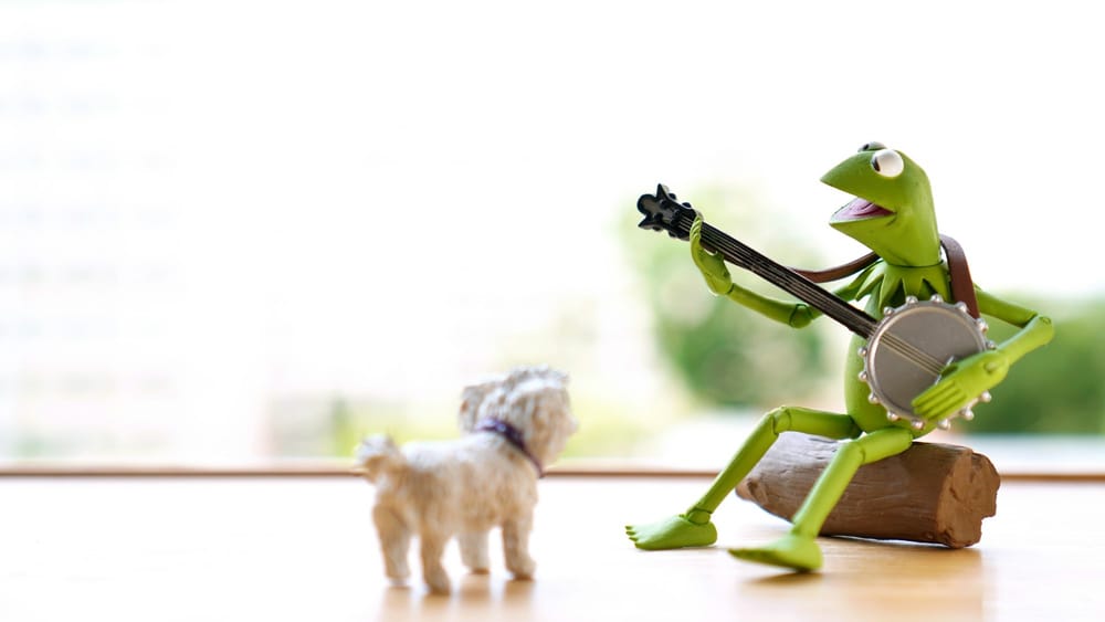 The Muppet Show returns as special event post image