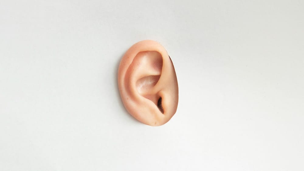 Listen Labs raises $69 million Series B to fund AI-led customer research post image