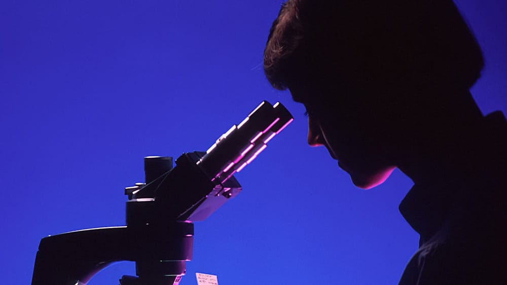 The immune system’s new teachers: Personalised cancer vaccines and the logistics of made-to-order medicine post image