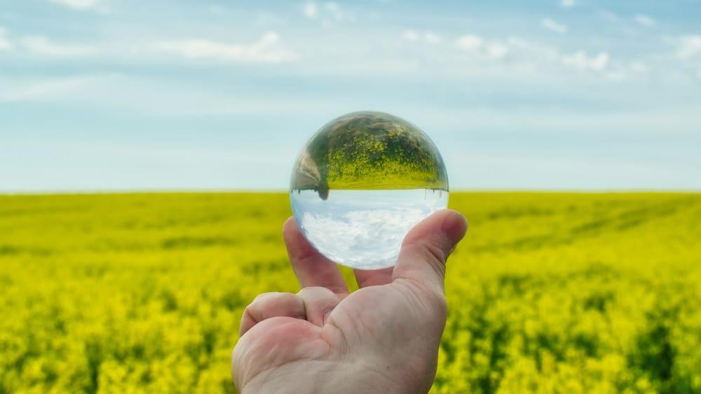 ICE environmental markets surpass $1 trillion in notional value for fifth year running post image