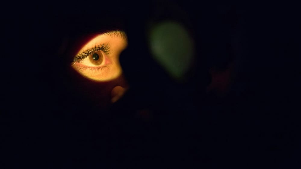 SeenThis and Lumen launch real-time attention model for video ad performance post image