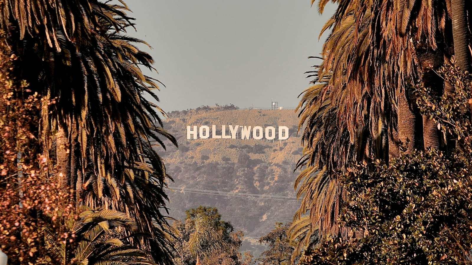Bryan Cranston vs. The Machines. OpenAI’s Deepfake Dilemma Goes Hollywood post image