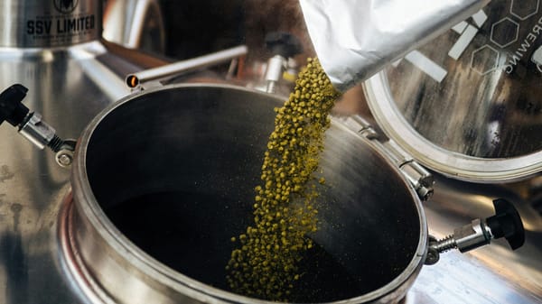 Go Brewing secures investment from Rich Roll Enterprises and Listen Ventures post image