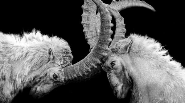 Anthropic vs the Pentagon. Here's what really happened post image