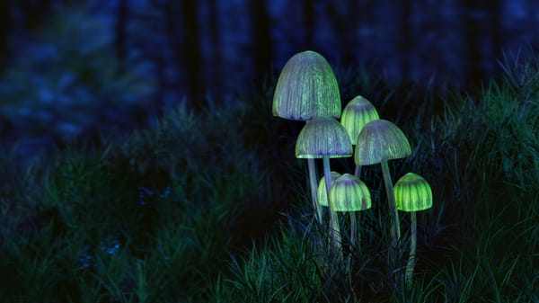 Helus Pharma looks to lead a new approach to treating depression post image