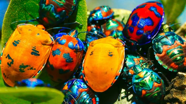 OpenAI is paying researchers to find ways its AI can be weaponised post image