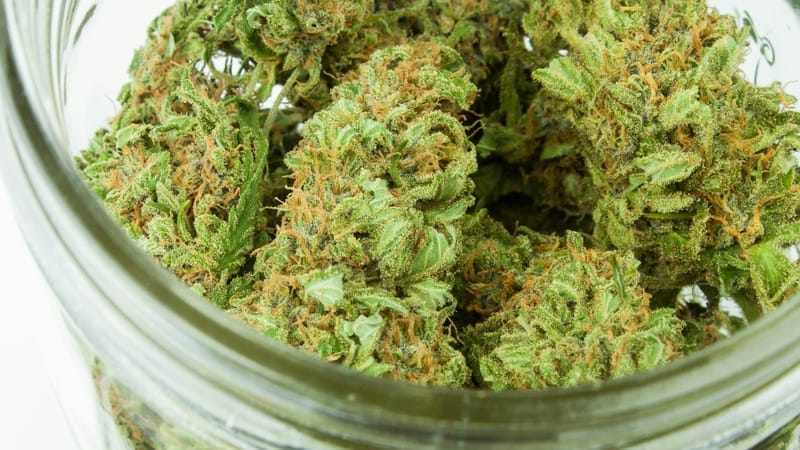 Canopy Growth to acquire MTL Cannabis in $125m deal post image