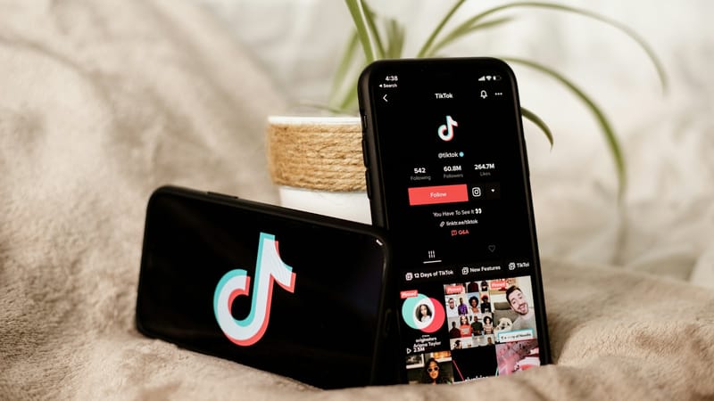 Former Frasers exec backs UK TikTok entrepreneurs post image