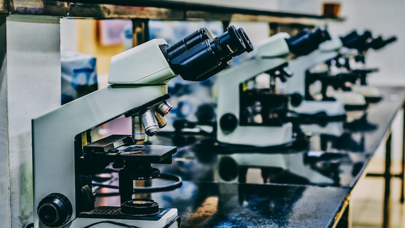 Google.org awards $20m to AI-led science projects tackling health, energy and biodiversity post image