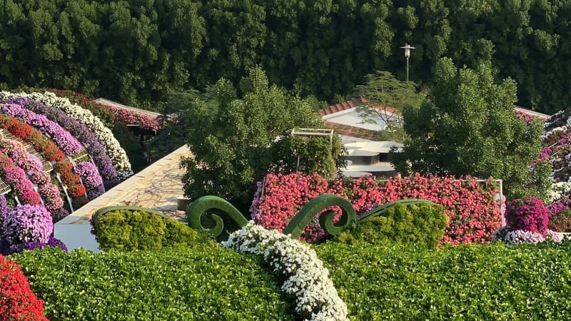 Grounded 2 adds new Garden biome in first major update post image