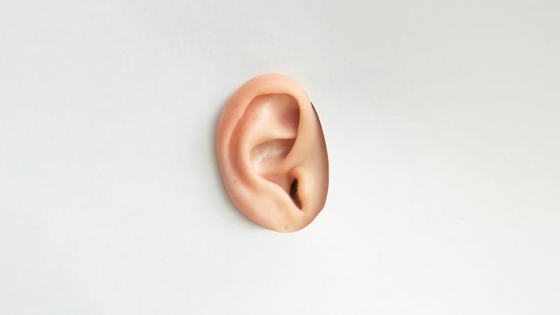 Listen Labs raises $69 million Series B to fund AI-led customer research post image