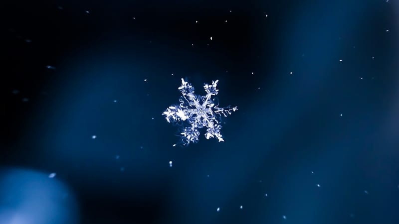 Snowflake signs $200m deal with OpenAI to offer frontier models inside data platform post image