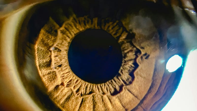 First human trial of cellular reprogramming approved in bid to treat blindness post image